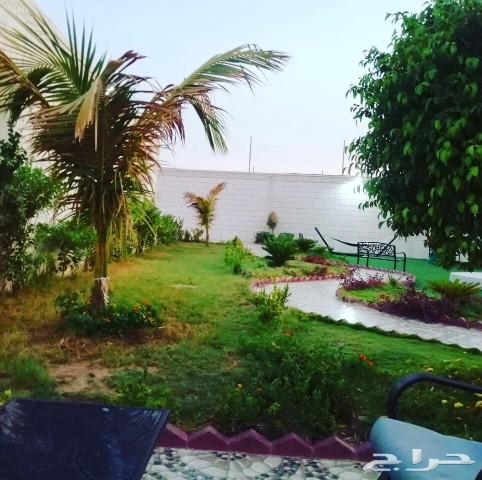 استراحة الشروق جدة