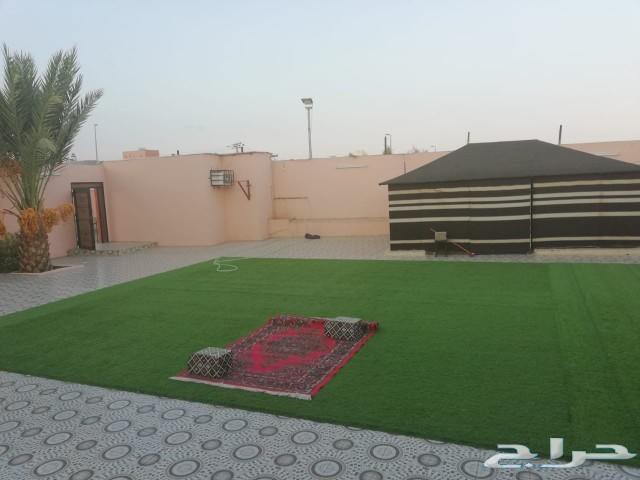 استراحة شاطئ الراحة
