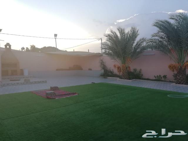 استراحة شاطئ الراحة