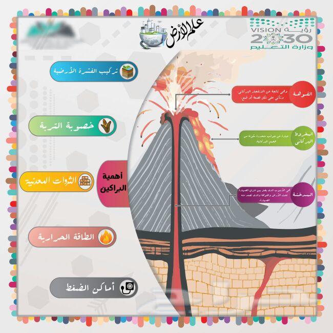 تصاميم متعددة سيرة ذاتية رول اب بروشورات