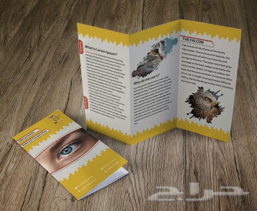 تصاميم متعددة سيرة ذاتية رول اب بروشورات