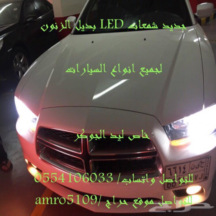 بديل الزينون ليد