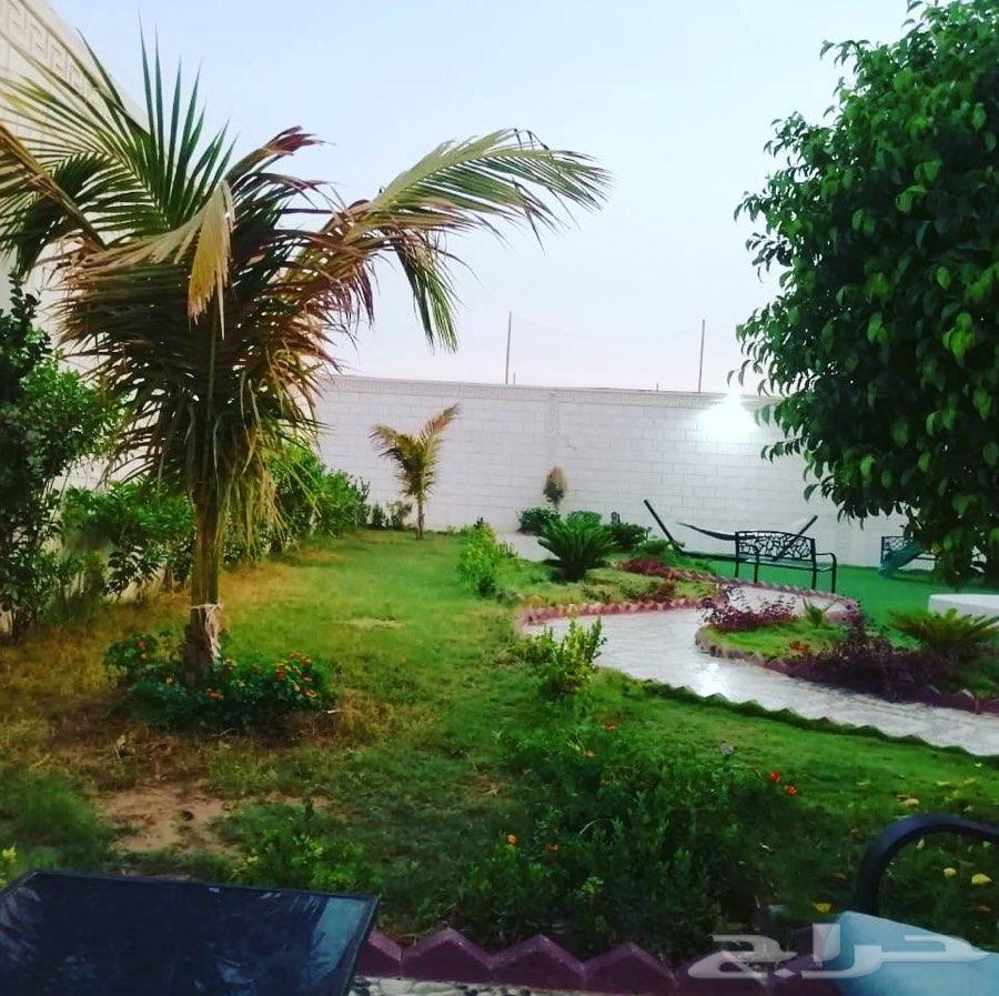 استراحة الشروق جدة