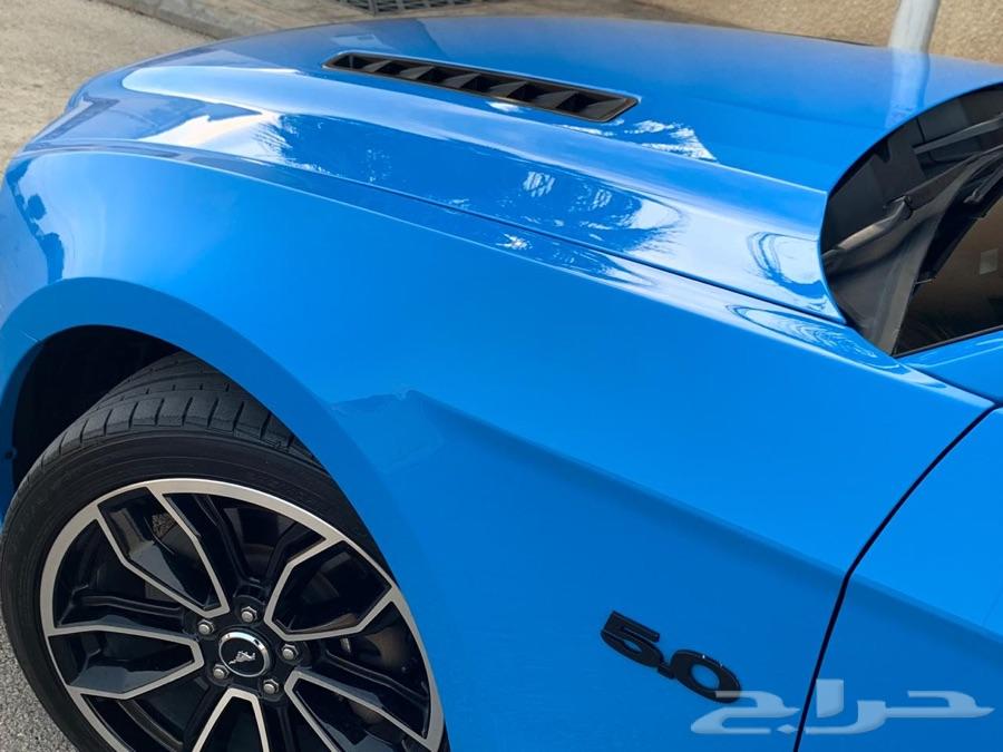 موستنق 2014 GT فل