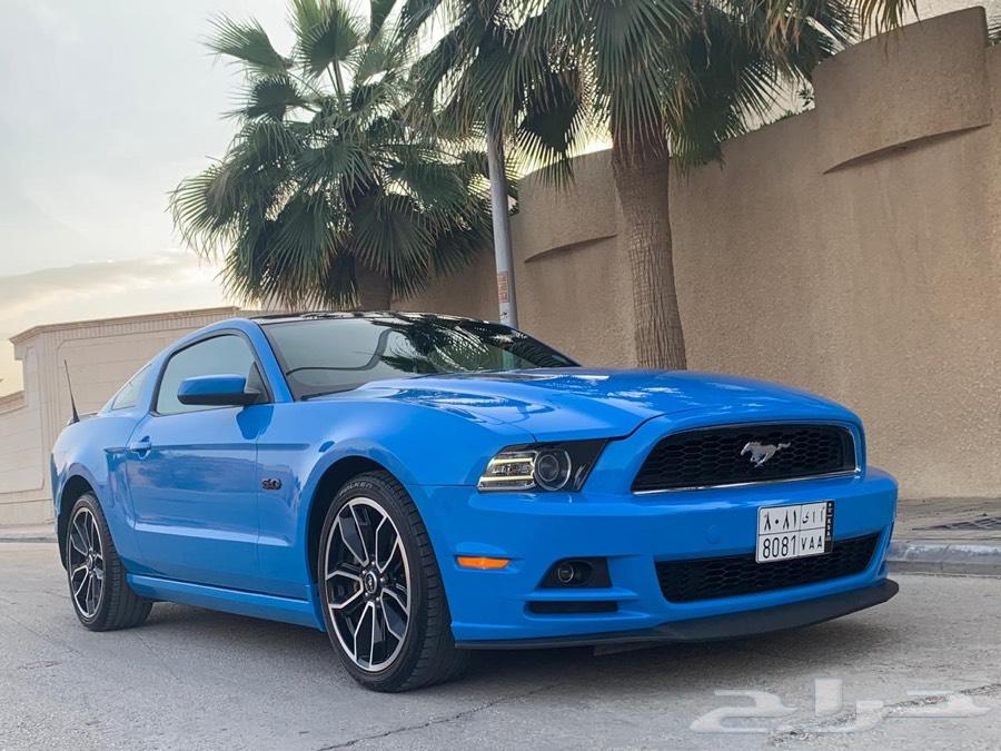 موستنق 2014 GT فل