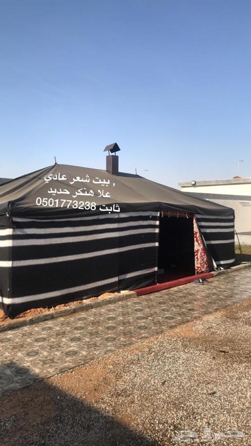 بيوت شعر ثابت على هنكر حديد بريدة
