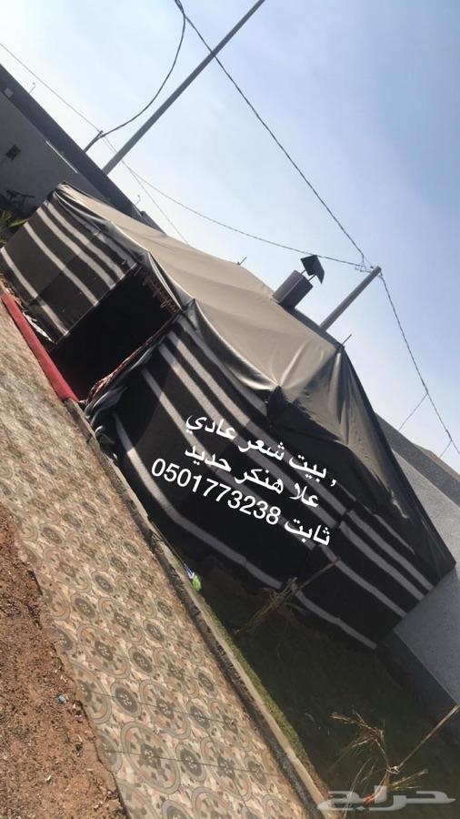 بيوت شعر ثابت على هنكر حديد بريدة