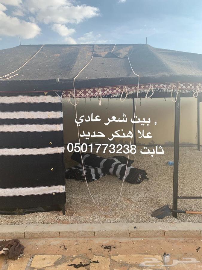 بيوت شعر ثابت على هنكر حديد بريدة