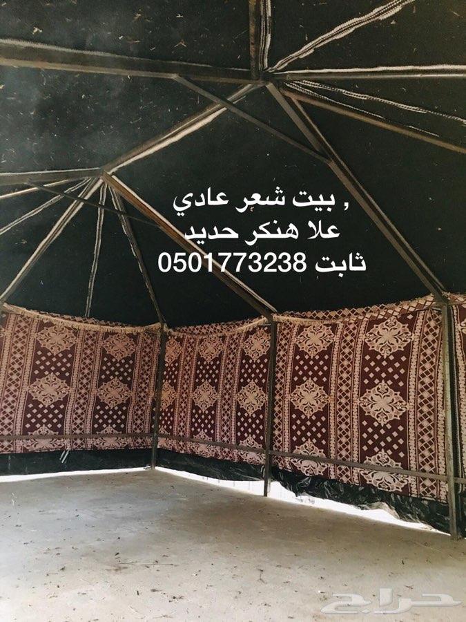 بيوت شعر ثابت على هنكر حديد بريدة