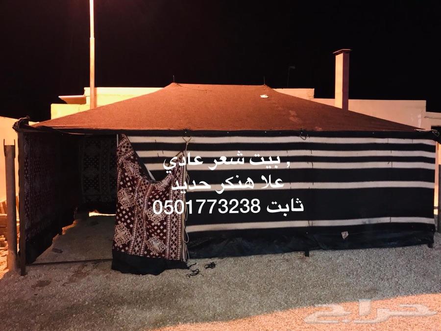 بيوت شعر ثابت على هنكر حديد بريدة