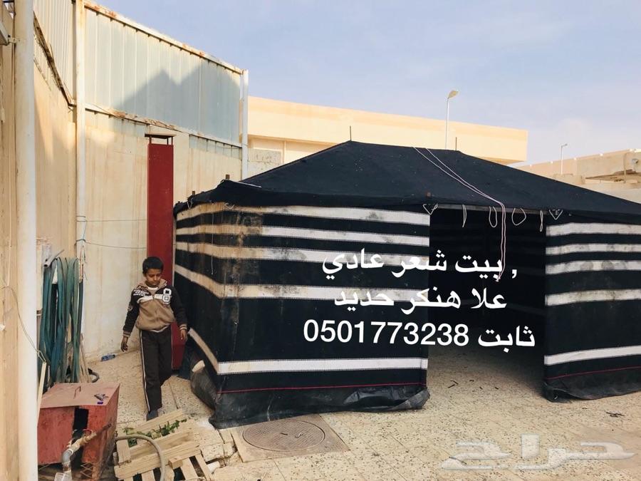 بيوت شعر ثابت على هنكر حديد بريدة