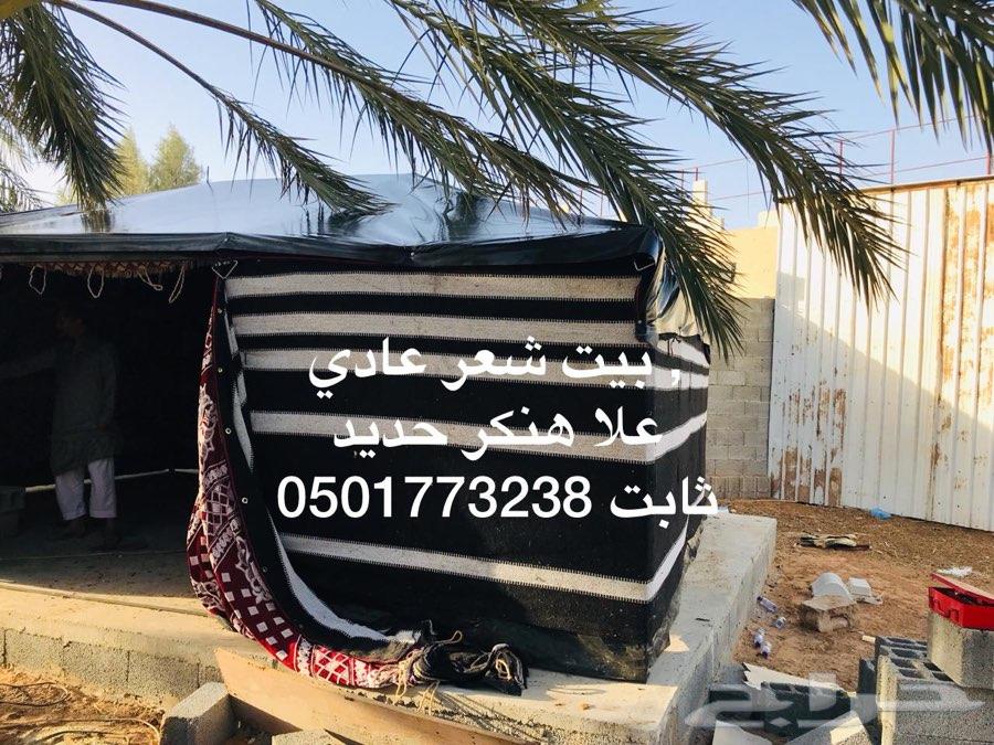 بيوت شعر ثابت على هنكر حديد بريدة