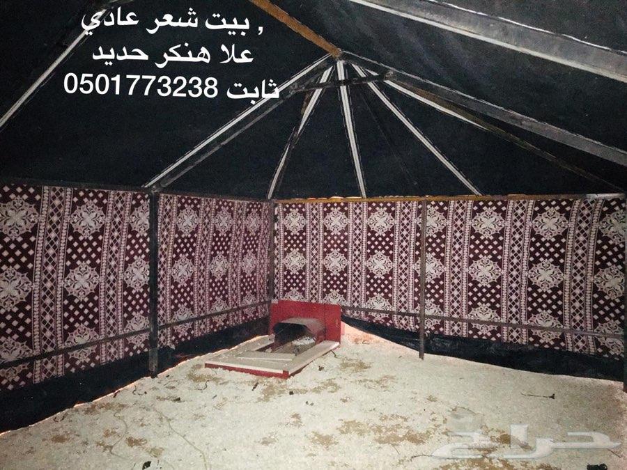 بيوت شعر ثابت على هنكر حديد بريدة