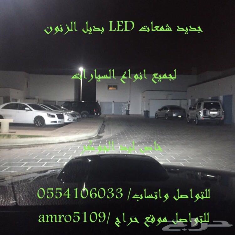 بديل الزينون ليد