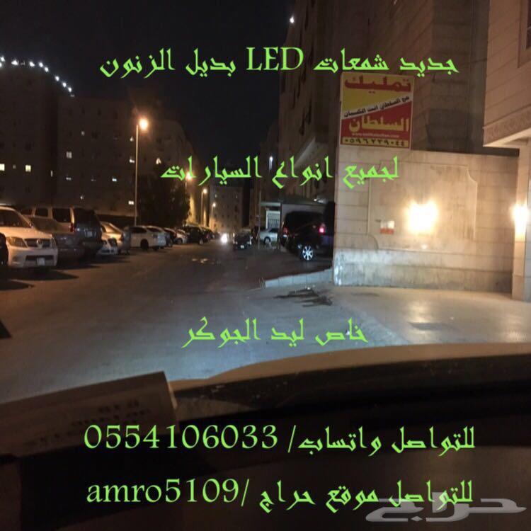 بديل الزينون ليد