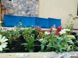 استراحة ومسبح تيارا