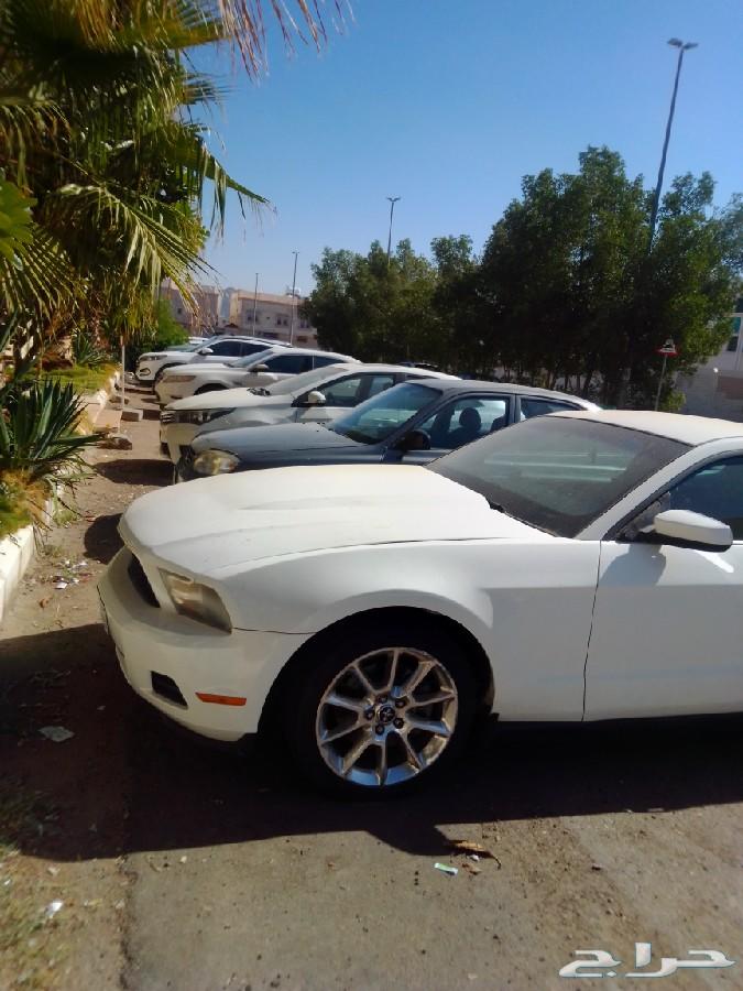 موستنج للبدل فقط mustang 2012 v6