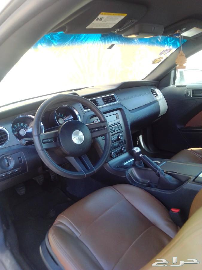 موستنج للبدل فقط mustang 2012 v6