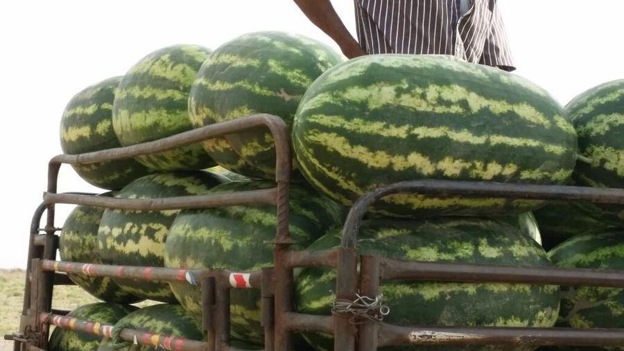 فرصة استثمارية للبيع العاجل