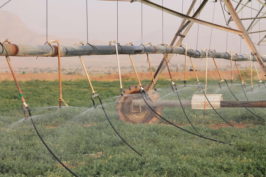 فرصة استثمارية للبيع العاجل