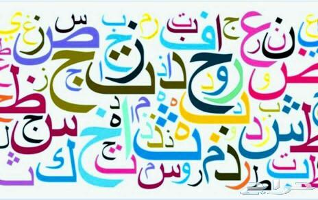 (أنشاء_تعليم_تدريب_تسويق_متابعة_أدارة_أستشاري