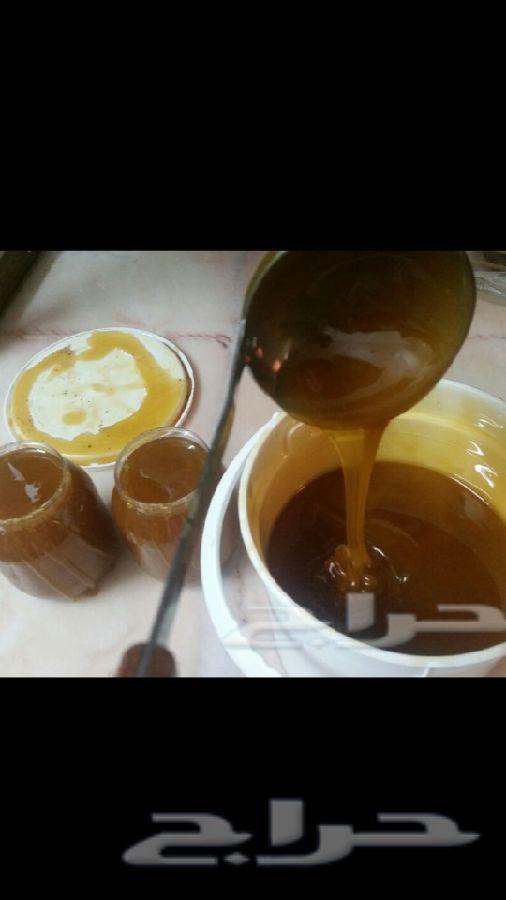 عسل سدره جبلي جديد وسمره بلدي