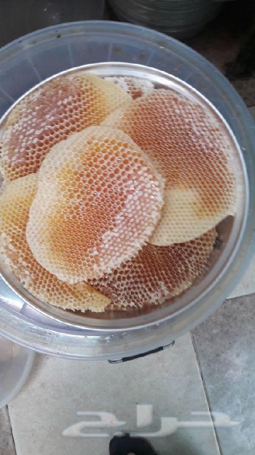 عسل سدره جبلي جديد وسمره بلدي