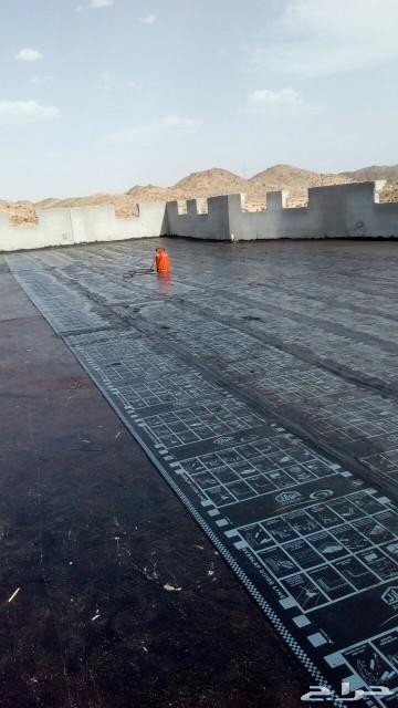 العزل المائي والحراري و الكيميائي (المختصون)
