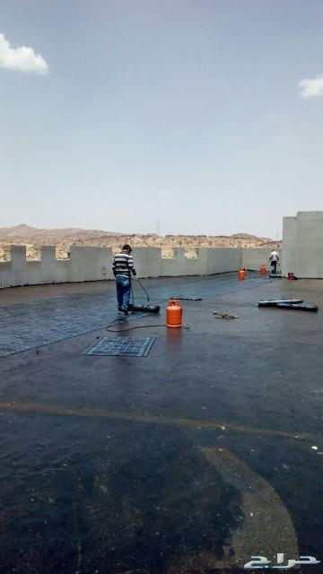 العزل المائي والحراري و الكيميائي (المختصون)
