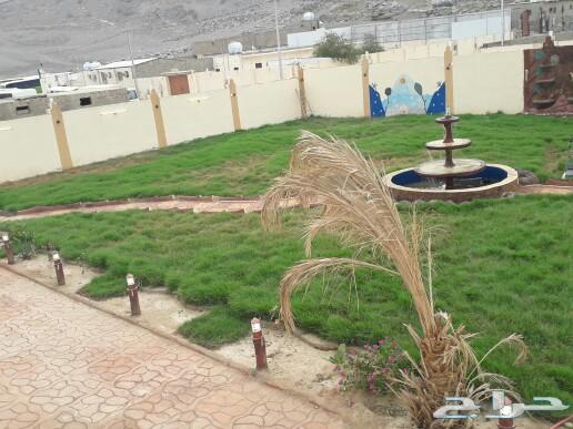 استراحه جديده للمناسبات