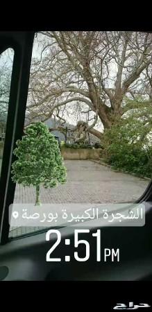 رحلات سياحية في إسطنبول و خارج إسطنبول