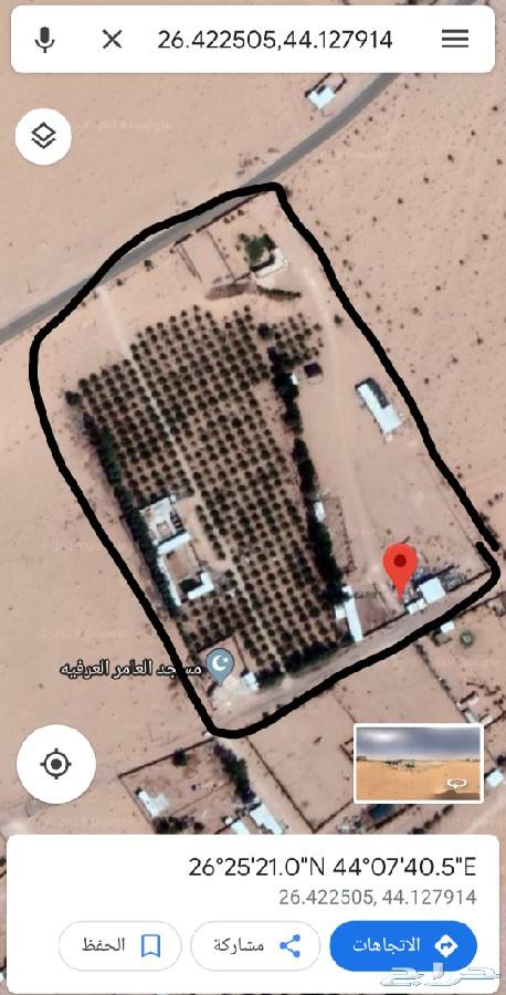 للبيع مزرعه بالعريفية ببريده