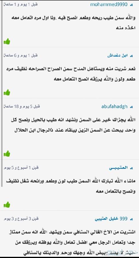 سمن غنم بري