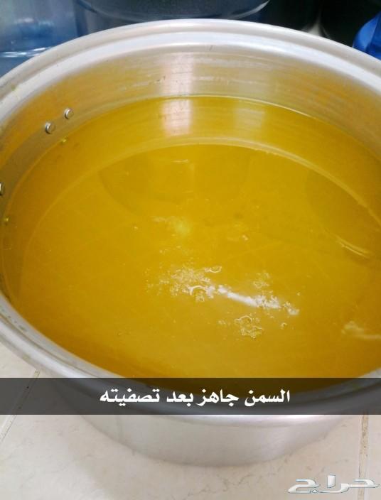سمن غنم بري
