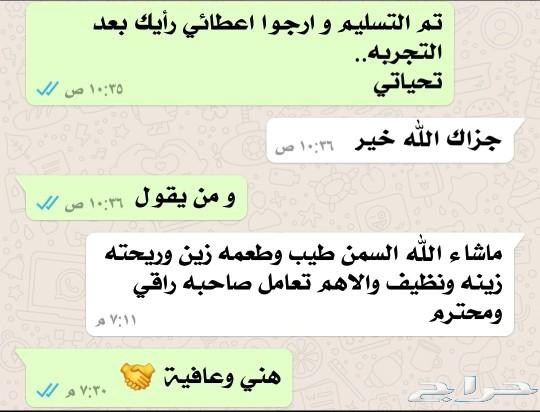 سمن غنم بري