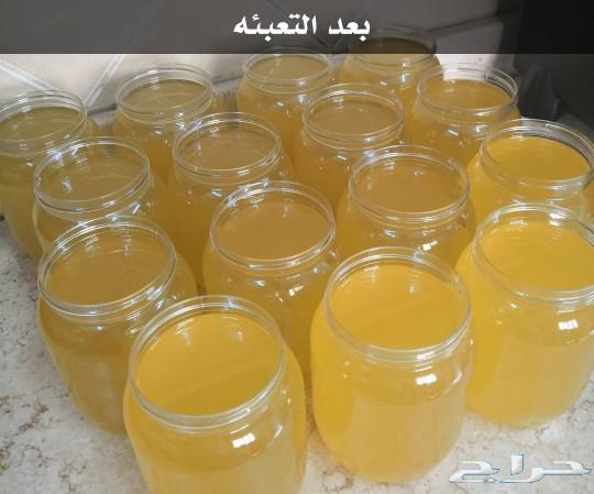 سمن غنم بري
