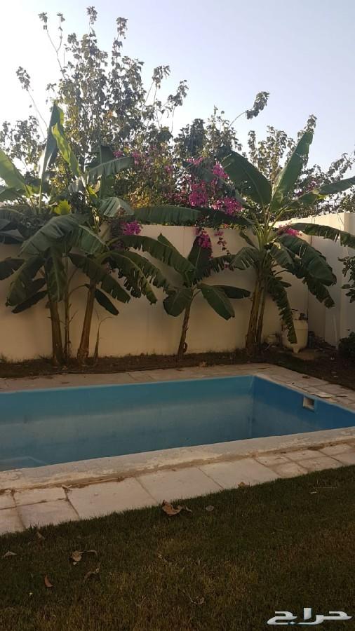 للبيع فلل من المالك مباشرة اسعار مغرية