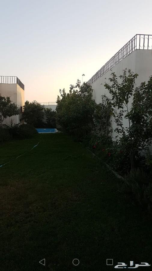 للبيع فلل من المالك مباشرة اسعار مغرية