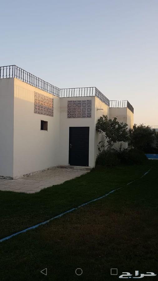 للبيع فلل من المالك مباشرة اسعار مغرية