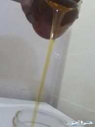 عسل السدر البنجابي نفس البلدي كيلو ب120 فقط