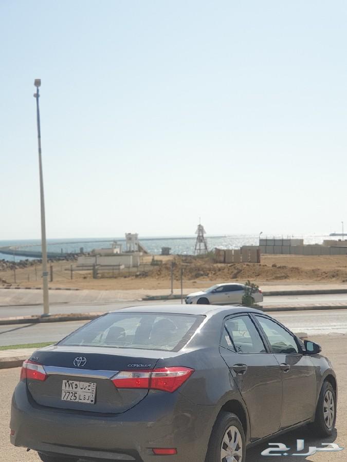 كورولا2014