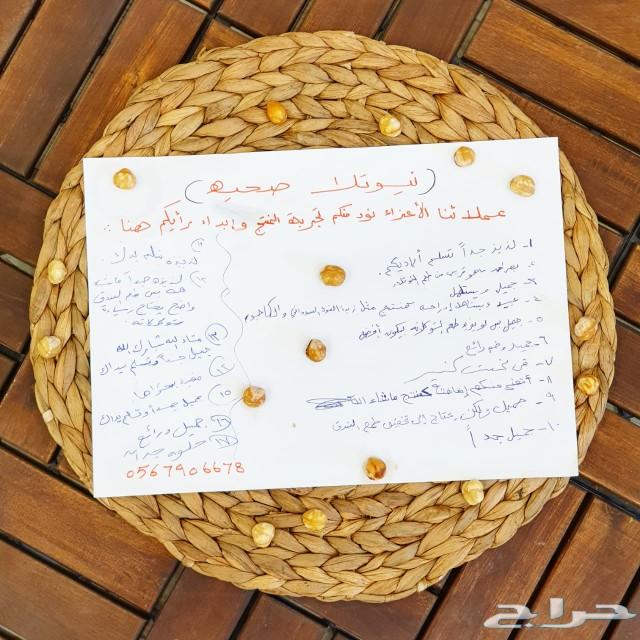 (organic)زبدة فول سوداني الكاجو ونوتيلا صحيه