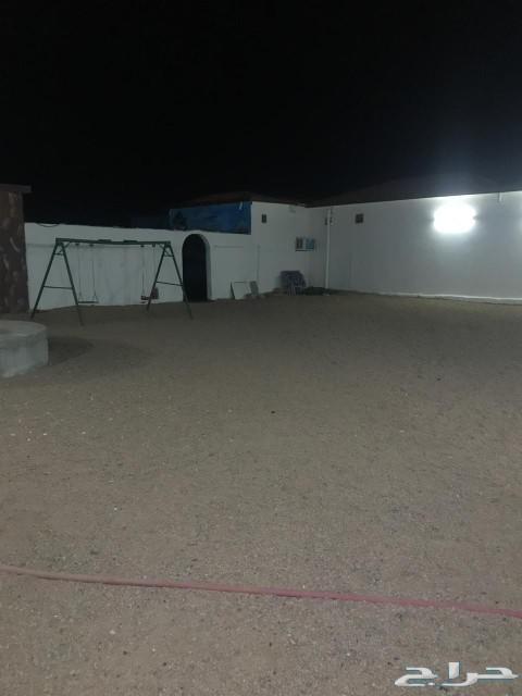 إستراحة للإيجار ايام عيد الاضحى