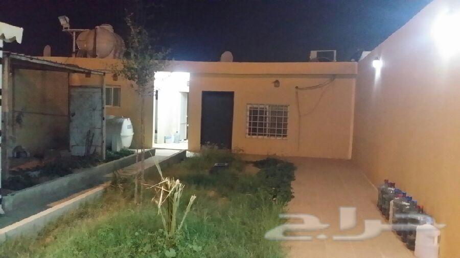 استراحه للايجار بالدرعيه جاكس