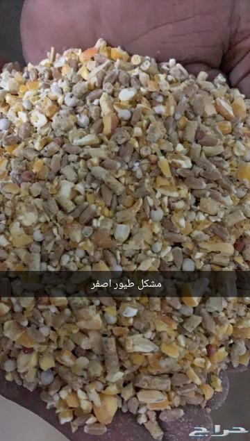 اعلاف مشكلة وذرة مجروش