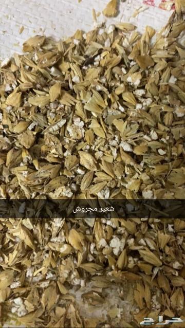 اعلاف مشكلة وذرة مجروش