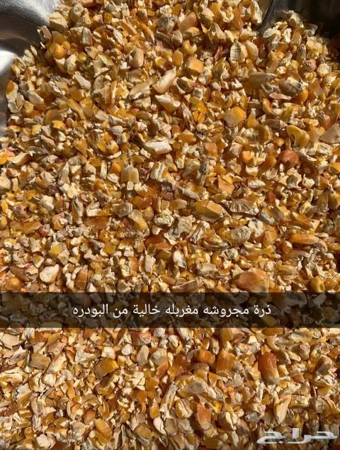 اعلاف مشكلة وذرة مجروش