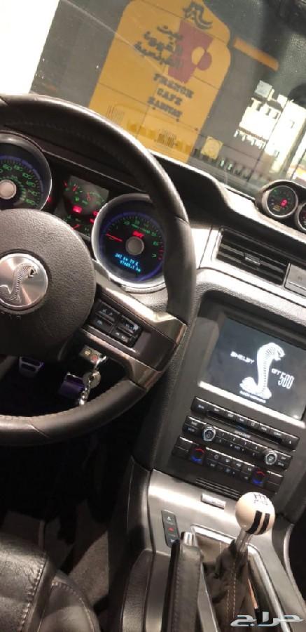شيلبي 2011 shelby gt500