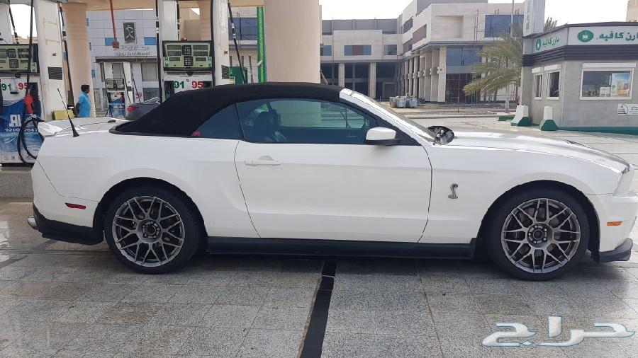 شيلبي 2011 shelby gt500