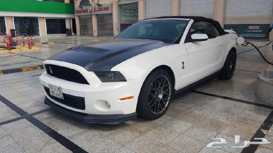 شيلبي 2011 shelby gt500